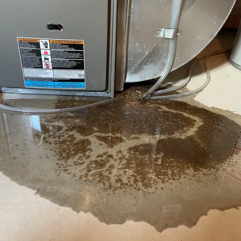 Appliance Leak Cleanup in Prichard, AL